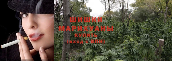 не бодяженный Верхний Тагил